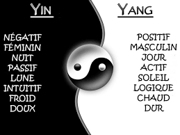 Yin yang-Tableau principes 2